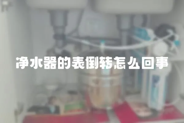 凈水器的表倒轉怎么回事