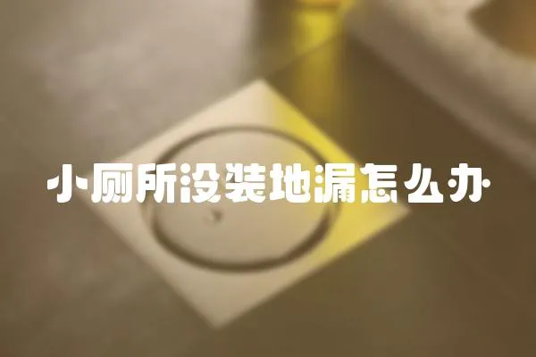 小廁所沒裝地漏怎么辦