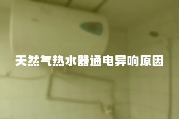 天然氣熱水器通電異響原因