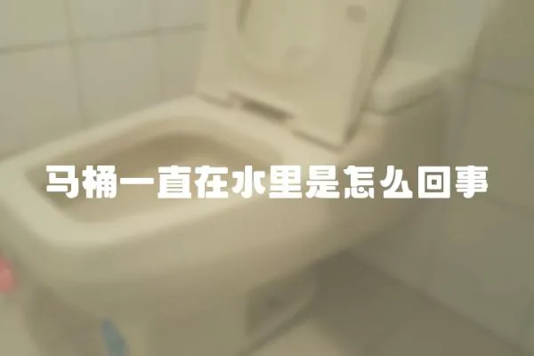 馬桶一直在水里是怎么回事