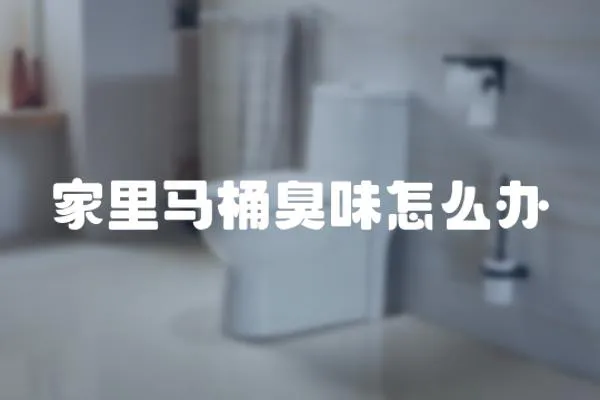 家里馬桶臭味怎么辦