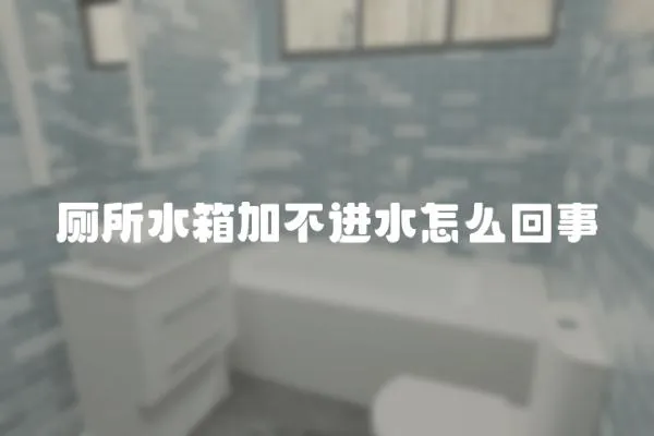 廁所水箱加不進水怎么回事