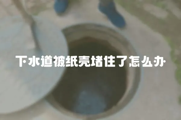 下水道被紙殼堵住了怎么辦