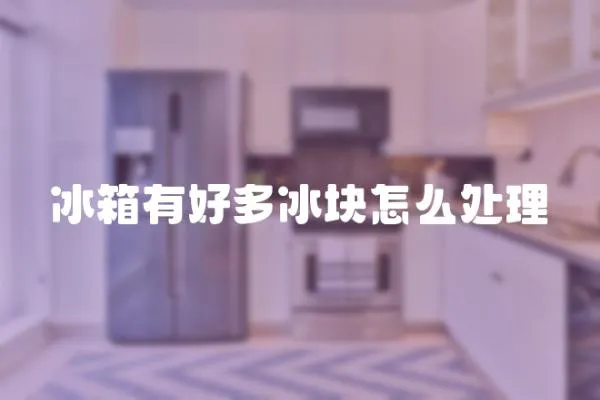冰箱有好多冰塊怎么處理