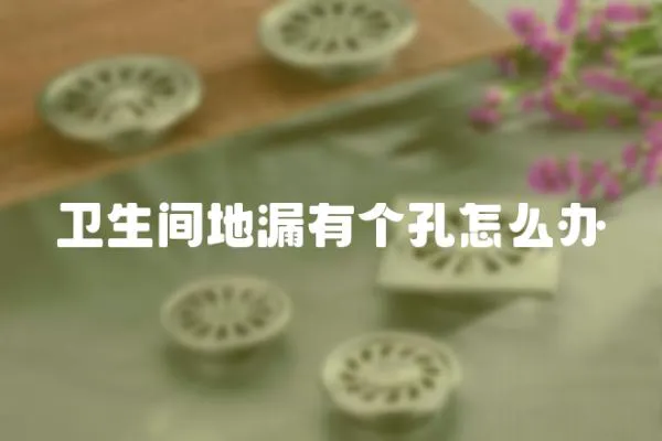 衛生間地漏有個孔怎么辦