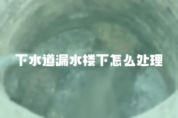 下水道漏水樓下怎么處理