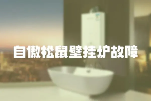 自傲松鼠壁掛爐故障