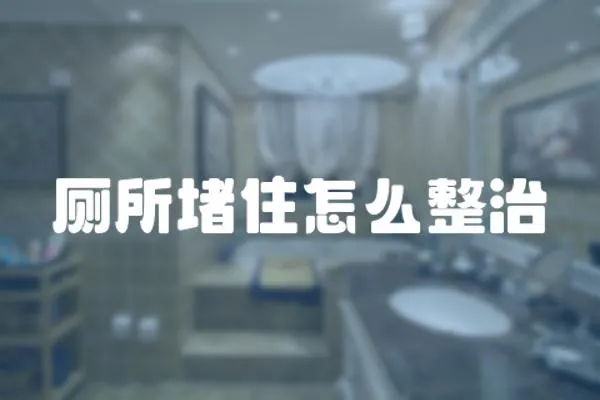 廁所堵住怎么整治