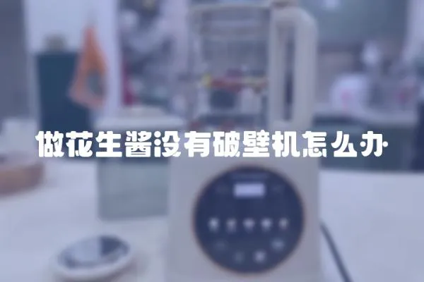 做花生醬沒有破壁機怎么辦