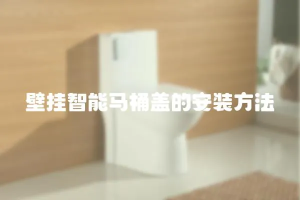 壁掛智能馬桶蓋的安裝方法