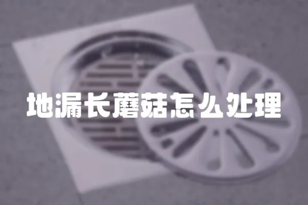 地漏長蘑菇怎么處理