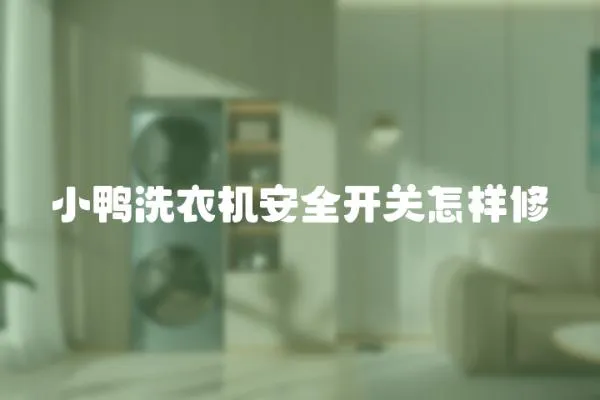 小鴨洗衣機安全開關(guān)怎樣修