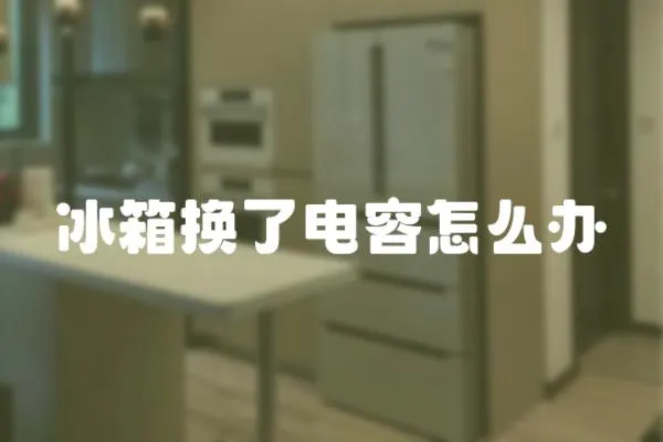 冰箱換了電容怎么辦