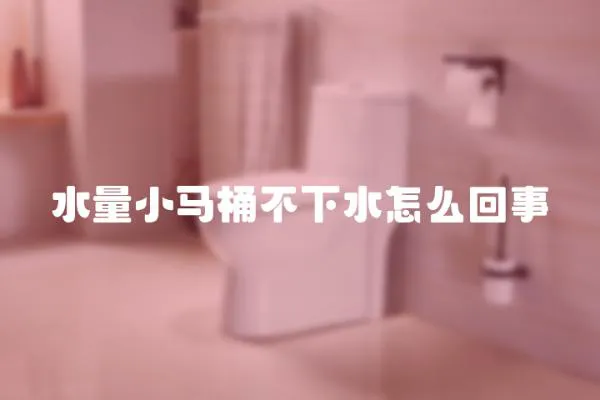 水量小馬桶不下水怎么回事