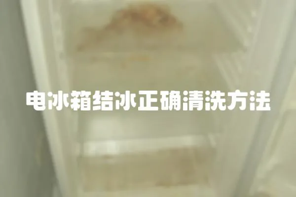電冰箱結冰正確清洗方法