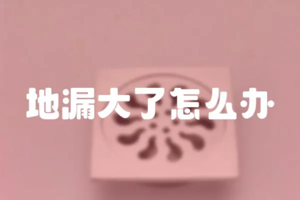 地漏大了怎么辦
