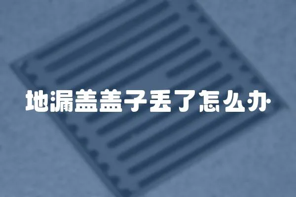 地漏蓋蓋子丟了怎么辦