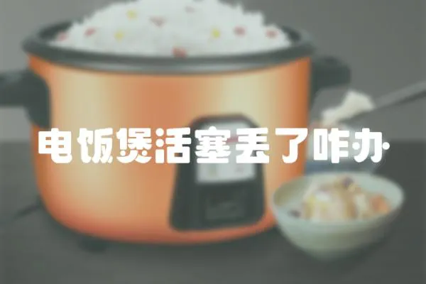 電飯煲活塞丟了咋辦