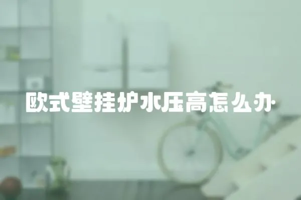 歐式壁掛爐水壓高怎么辦