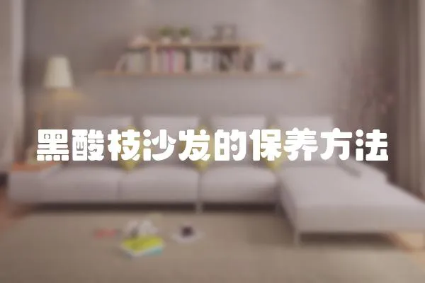 黑酸枝沙發(fā)的保養(yǎng)方法