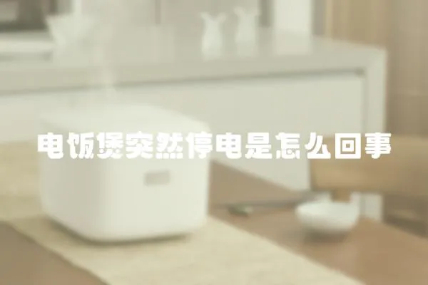 電飯煲突然停電是怎么回事