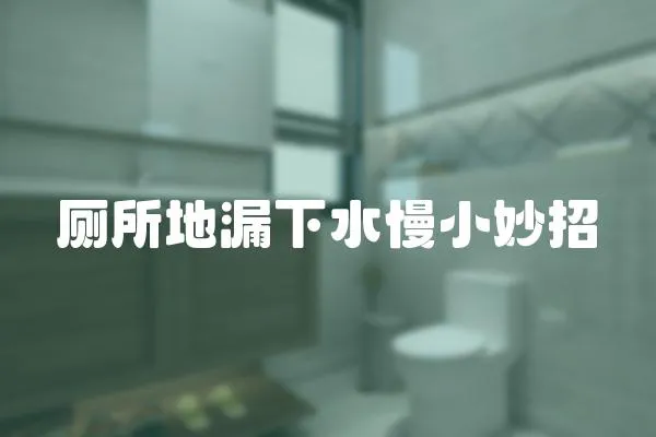 廁所地漏下水慢小妙招