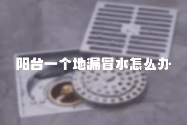陽臺一個地漏冒水怎么辦