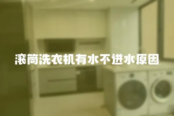 滾筒洗衣機有水不進水原因