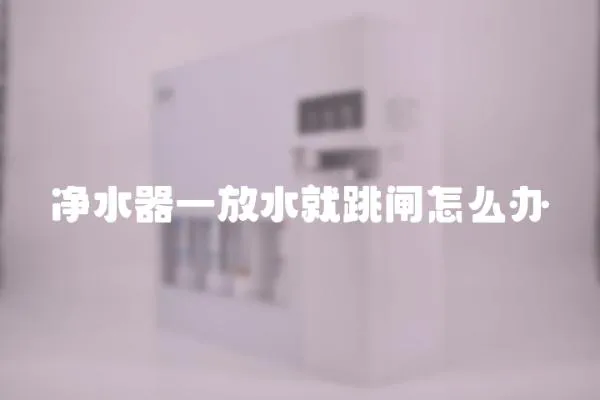 凈水器一放水就跳閘怎么辦