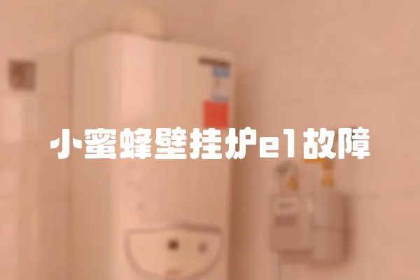 小蜜蜂壁掛爐e1故障