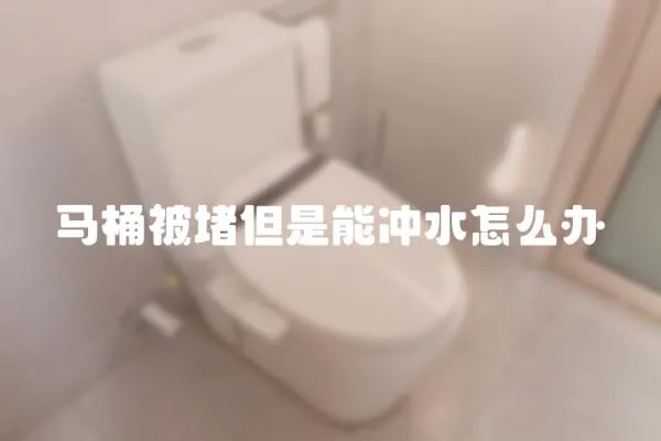 马桶被堵但是能冲水怎么办