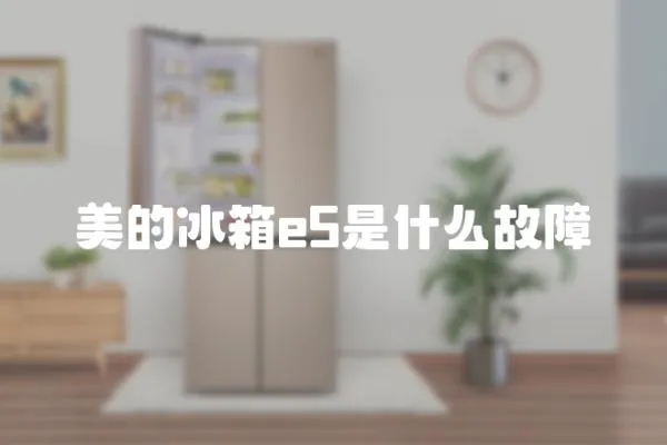 美的冰箱e5是什么故障