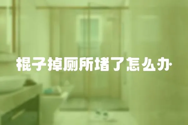 棍子掉廁所堵了怎么辦