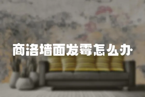 商洛墻面發霉怎么辦