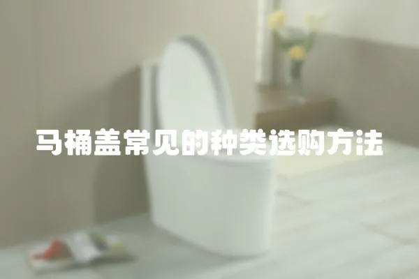 馬桶蓋常見的種類選購方法