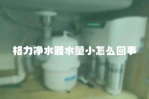 格力凈水器水量小怎么回事
