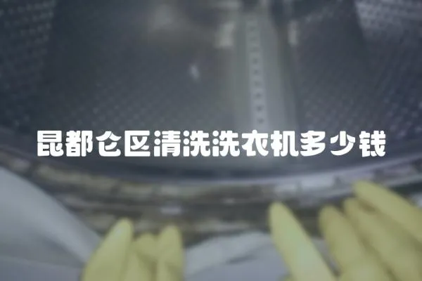 昆都侖區清洗洗衣機多少錢