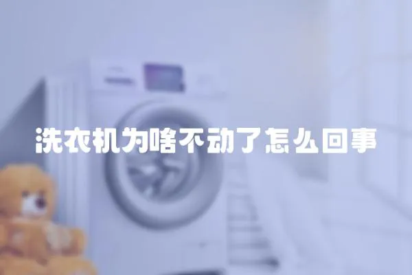 洗衣機為啥不動了怎么回事