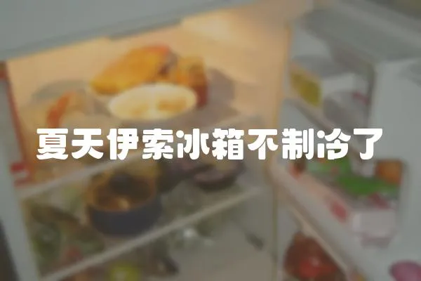 夏天伊索冰箱不制冷了
