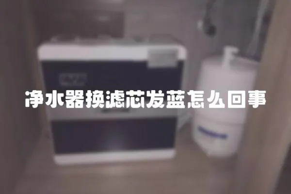 凈水器換濾芯發藍怎么回事