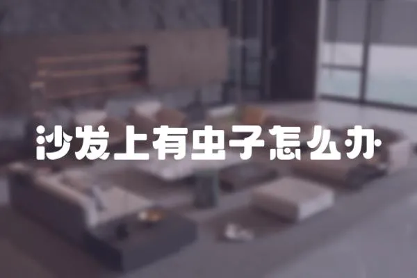 沙發(fā)上有蟲子怎么辦