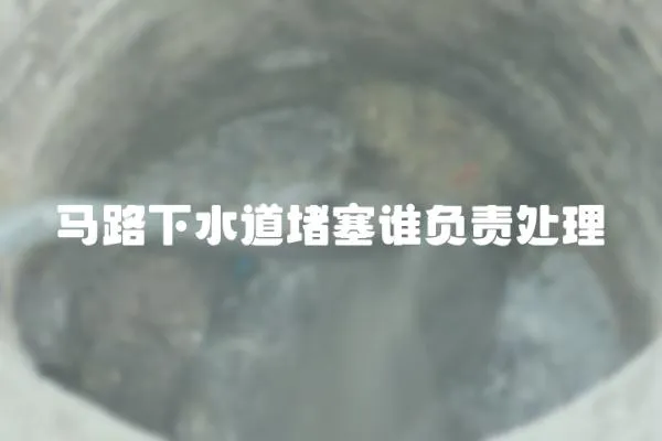 馬路下水道堵塞誰負責處理