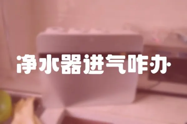 凈水器進氣咋辦