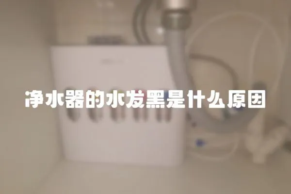 凈水器的水發(fā)黑是什么原因