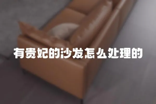 有貴妃的沙發怎么處理的