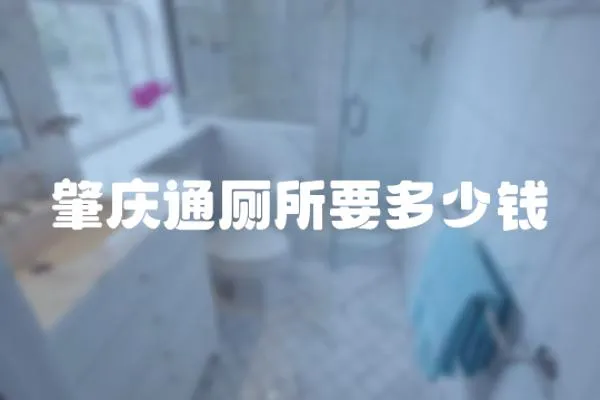 肇慶通廁所要多少錢