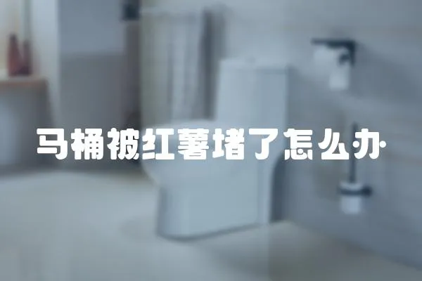 馬桶被紅薯堵了怎么辦