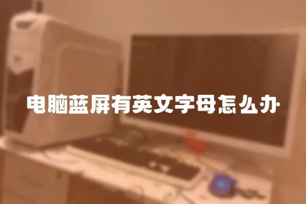電腦藍屏有英文字母怎么辦