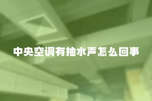 中央空調(diào)有抽水聲怎么回事