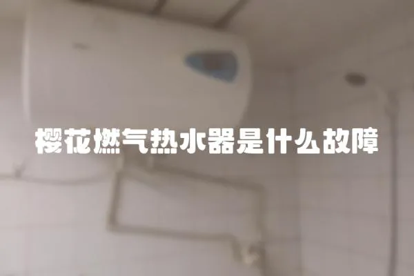 櫻花燃氣熱水器是什么故障